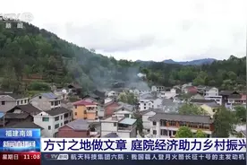 从“方寸地”到“聚宝盆” 小小庭院潜力有多大？图片