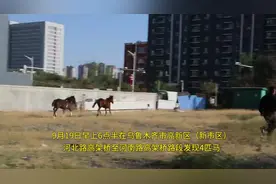 “不会套马的汉子不是好警察”图片