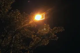 聊城市：致敬城市微光——环卫工的一天图片