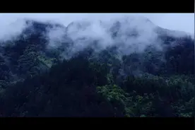 节水广西 你我同行｜广西首部节水公益宣传片发布图片