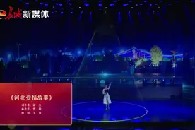 动人！著名歌手王蓉深情演唱《河北爱情故事》图片