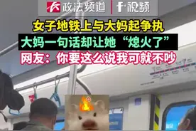 女子地铁上与大妈起争执，大妈一句话却让她“熄火了”图片