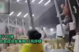 惊险！湖北一地狂风暴雨掀翻雨棚连人被带飞图片