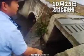 【#民警钻下水道救出被困11小时老人#】图片