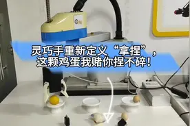 优雅抓鸡蛋、捏水果？深圳宝安这只“灵巧手”卷出千元级图片