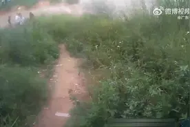 【4名钓鱼佬去钓鱼反被“钓”上岸】图片