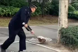 郑州二七区严查违规溜犬，未栓绳的狗直接抓走主人还要受罚，执法人员：只要出了家门就属于公共区域图片