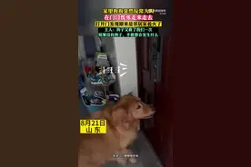狗狗突然反常大叫，主人开门发现邻居家着火了图片