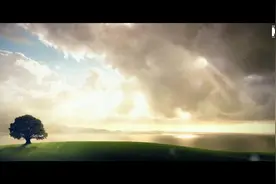 创意视频｜见证图片