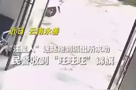 民警帮跑进派出所狗狗找到主人被送旺旺旺锦旗图片