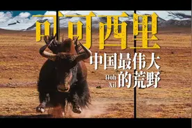 真正的可可西里到底是什么样？图片