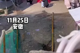 家长用红塑料袋做成一个罩子 里面放上水盆让孩子在里面洗澡 就成了一个天然的浴室图片