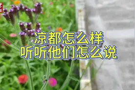 相约凉都 欢乐消夏丨“来这里过夏天，不用开空调！”图片