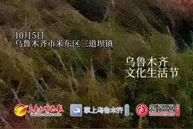 视频 | 白天抓螃蟹，傍晚看稻田激光秀 抓住假期的小尾巴撒欢玩！图片