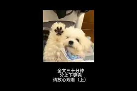 爽文一口气看完图片