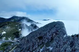 云海静谧宛如仙境 华中屋脊神农架雪后初晴美如画图片