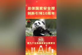 第九个全民国家教育日。图片