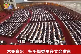 视频丨木亚赛尔·托乎提委员大会发言推介“石榴云”传播矩阵图片