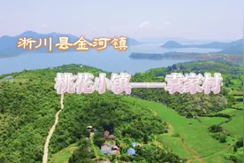 走进“桃花小镇”淅川县金河镇袁家村图片