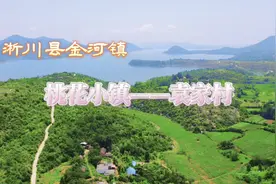 走进“桃花小镇”淅川县金河镇袁家村图片