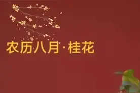 《书香长安》“二十四节气”姊妹篇“十二月花令” 一年秋分起，八月桂花香图片