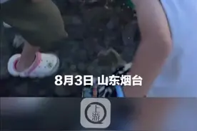 【爸爸让孩子体验赶海的乐趣偷偷扔贝壳】图片