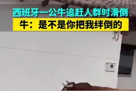 西班牙一公牛追赶人群时滑倒，牛：是不是你把我绊倒的图片