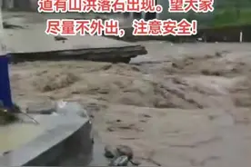 保定涞源县浮图峪村一桥梁被曝冲毁图片