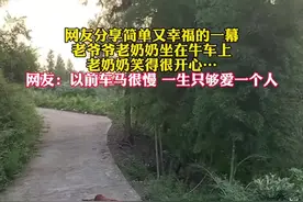 网友分享简单又幸福的一幕，老爷爷老奶奶坐在牛车上，老奶奶笑得很开心…图片