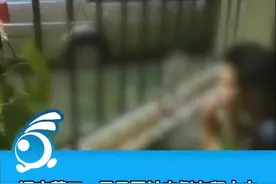 突发！辽宁营口一男子因触电倒在积水中不幸身亡，路灯漏电导致！图片