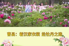 感受千年风华，感受历史与现代的交融 —— 穿汉服 赏牡丹 游菏泽图片