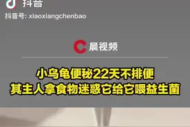 小乌龟便秘22天不排便 其主人拿食物迷惑它给它喂益生菌 最终用了开塞露才得以好转图片