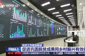 “大农业观”第一次写入政府工作报告！今年“三农”工作重点有这些图片