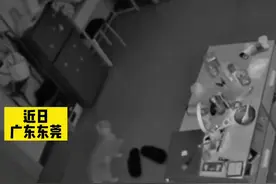 【#猫咪深夜发现陌生男子入室及时护主#】图片