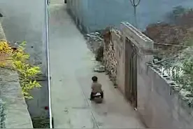 弟弟坐着玩具车冲向路口，五岁的哥哥见状，扔下自行车飞奔上前将弟弟拉住图片