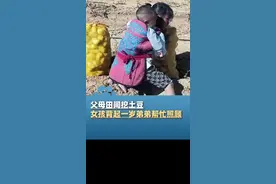 父母田间挖土豆，六岁女孩背起一岁弟弟帮忙照顾，网友：懂事的让人心疼图片
