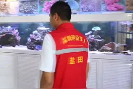 酷！这位老兵的一个变装，简直太酷了！图片