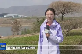​【生态优先 绿色发展·美丽青城我的家】呼和浩特：守护湿地 绘就人与自然和谐共生的青城画卷图片