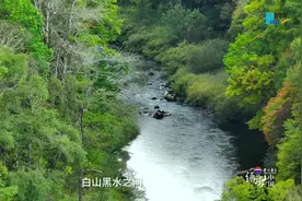 绿染中国|黑土粮仓里的生态经图片