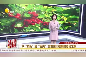 东北老妹儿带你吃｜从“枝头”到“舌尖” 普兰店大樱桃的奇幻之旅图片