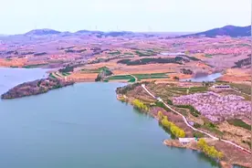 青岛西海岸新区大村镇：春日寻芳 与美景撞个满怀图片