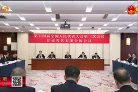 任振鹤在甘肃团审议政府工作报告时说 报告高举伟大旗帜把握时代大势彰显发展导向顺应民生期盼图片