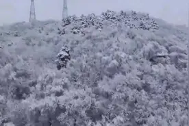 美丽辽宁｜雪后西丰：银装素裹 美如画卷图片