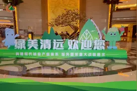 构建现代林业产业体系 服务国家重大战略需求 中国林业产业联合会换届大会在清远召开图片