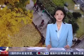 落叶再生之旅 天津 艺术化再利用 枯枝落叶变身景观雕塑图片