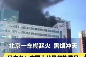 北京丰台一小区突发火灾，官方通报图片