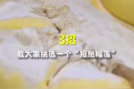 “行进中国”调研行·投资广西｜海关3招教你挑“报恩榴莲”图片