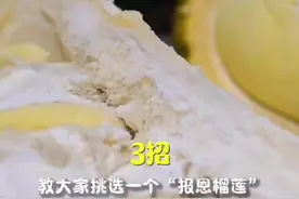 “行进中国”调研行·投资广西｜海关3招教你挑“报恩榴莲”图片