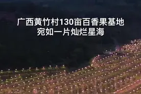 “行进中国”调研行·投资广西｜盘活百香果 点亮致富路图片