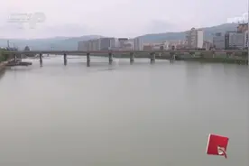 女子深陷网恋杀猪盘成洗钱工具人图片